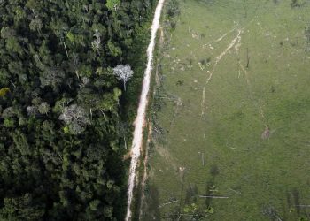 Retrocesso ambiental no Brasil pode custar R$ 20 tri ao resto do mundo