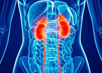 Mais de 2 mil capixabas fazem tratamento contra doença renal crônica