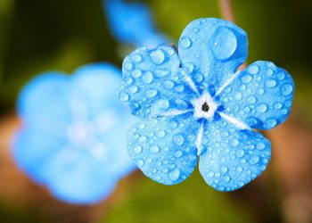 El Niño vai se prolongar até a primavera no Brasil