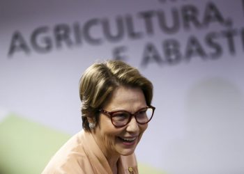 Agro vai continuar crescendo sem destruir sequer uma árvore, diz ministra