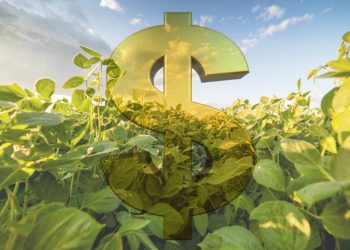 Plano Safra: CNA pede mais recursos para seguro rural e investimentos