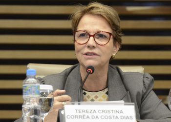 Líderes da agricultura se comprometem com a segurança alimentar global