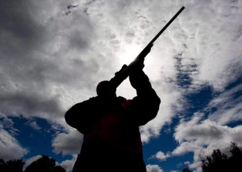 Senado aprova ampliação da posse de armas em propriedades rurais