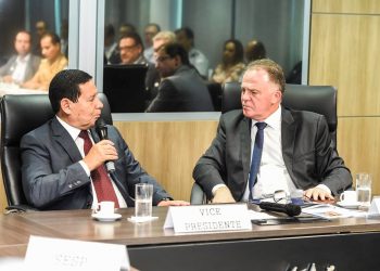 Vice-presidente aponta Estado Presente em Defesa da Vida como exemplo para o Brasil