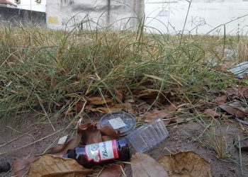 Cuidados com o Aedes Aegypti devem ser intensificados no período de chuva