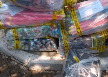 Ipem-ES inicia operação Dia das Crianças e retira mil brinquedos irregulares do mercado