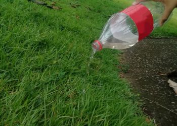 Combate ao Aedes aegypti deve ser intensificado na primavera