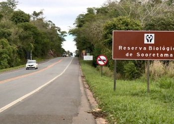 Ministro da Infraestrutura defende celeridade e racionalidade no licenciamento ambiental para rodovias