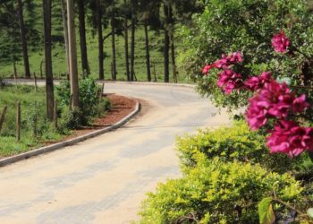 Calçamento rural melhora qualidade de vida em 82 comunidades do Estado