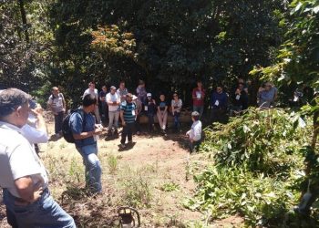 Visitas técnicas fecham X Simpósio de Pesquisa dos Cafés do Brasil