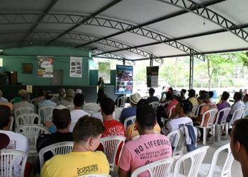 Incaper e parceiros realizam Dia de Campo sobre café arábica em Alegre