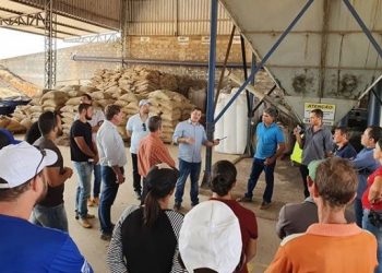 Conilon capixaba de qualidade é exemplo para cafeicultores de Rondônia