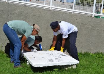 Ações integradas durante todo ano para combater a dengue