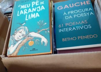Sedu arrecada livros para escola de Vargem Alta atingida pelas chuvas