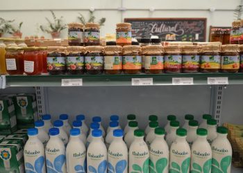 Setor de orgânicos fatura R$ 4,6 bi em 2019; alta anual foi de 15%