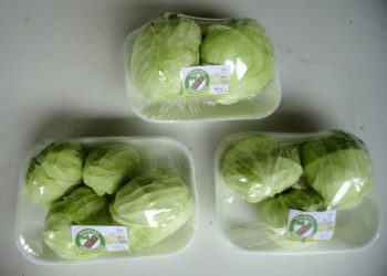 Agricultores contam com o Incaper para comercializarem produtos e receberem informações