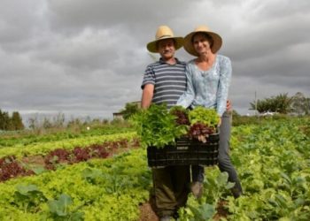 Agricultura familiar: governo prorroga dívidas e cria novas linhas de crédito