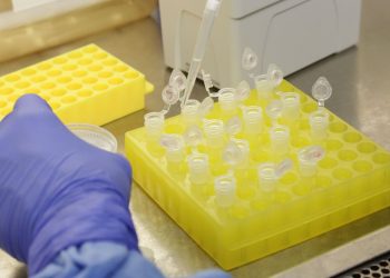 Casos de síndrome respiratória aguda crescem com menos intensidade