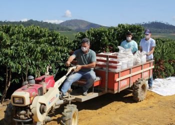 Estado celebra 13° Lançamento da Colheita do Café Conilon