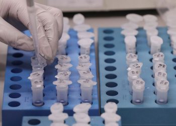 Covid-19: Brasil chega a marca de 100 mil curados