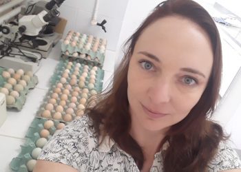 Incaper faz transmissão ao vivo sobre avicultura caipira