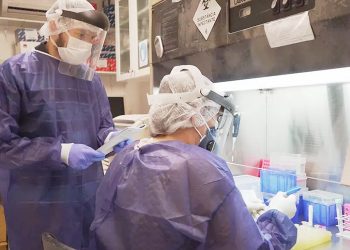 UFRJ e Vital Brasil testarão soro para tratar Covid-19