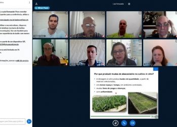 Seag e Incaper realizam capacitação sobre a cultura do abacaxi em videoconferência