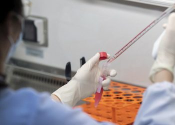 Ministério da Saúde lança campanha de doação de sangue 2020