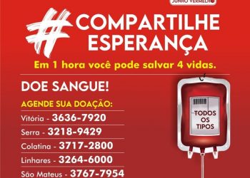 Hemocentros precisam de doações de sangue