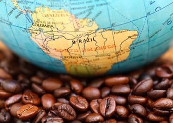 União Europeia e Estados Unidos devem aumentar importações de café