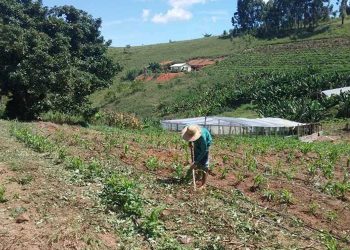 Crédito fundiário: 162 famílias foram contempladas em oito meses