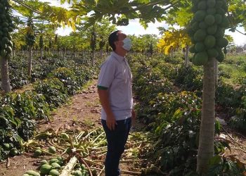 Banestes já libera R$ 235 milhões em Crédito Emergencial