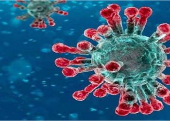 COVID 19: Jaguaré atinge 341 Casos Confirmados