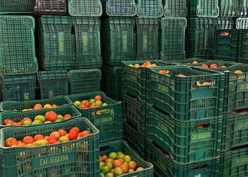 Sedu libera mais um lote de cestas básicas para beneficiar 100 mil alunos da Rede Estadual