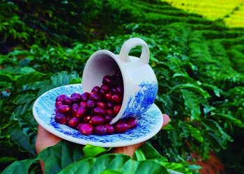 Marilândense é campeão em concurso de fotografias da ABIC