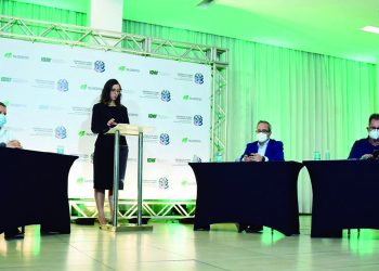 Idaf realiza primeira audiência pública virtual do setor florestal no País