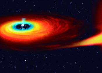 Idaf realiza primeira audiência pública virtual do setor florestal no País