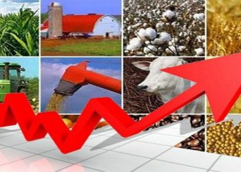 Governador assina Projetos de Lei para fortalecer o crescimento econômico do Espírito Santo