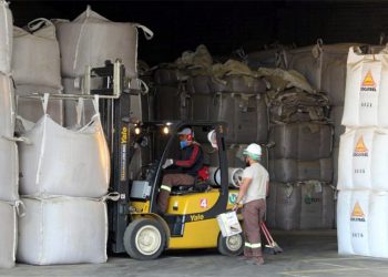 Mercado do Café: corretoras já negociam safra 2021