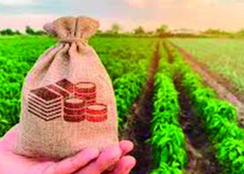 Incaper anuncia novidades para ampliação de crédito rural