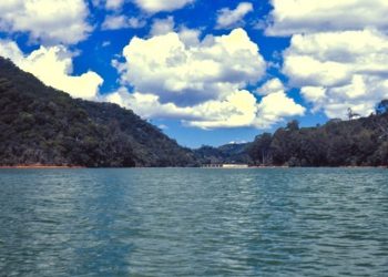 Espírito Santo participa da criação da rede Morangos do Brasil