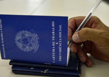 Espírito Santo participa da criação da rede Morangos do Brasil