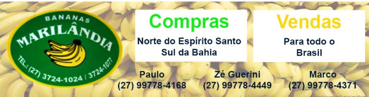JC Empresarial- Bananas Marilandia