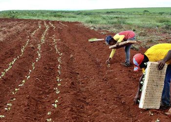 Cidade perde um dos pioneiros em cooperação rural: Camatinha