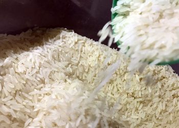 Economia com reforma administrativa deve chegar a R$ 300 bilhões