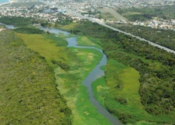 Eleições 2020: TSE libera ferramenta para consulta de candidaturas