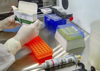 Brasil acumula 4,55 milhões de casos e 137,2 mil mortes por covid-19