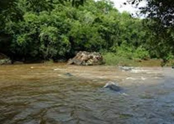 Brasil acumula 4,55 milhões de casos e 137,2 mil mortes por covid-19