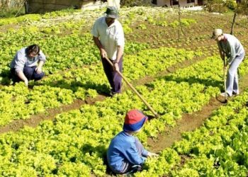 Funsaf 3: mais de 100 propostas em 48 municípios