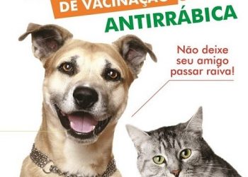 Dia D da campanha de vacinação antirrábica acontece neste sábado (24)